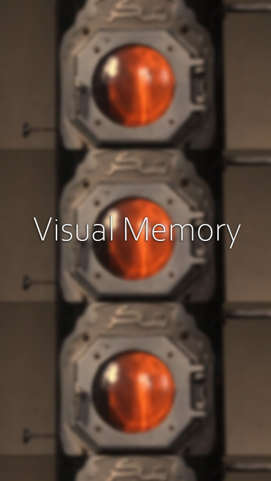 Visual memory by Alaa AboFarraj